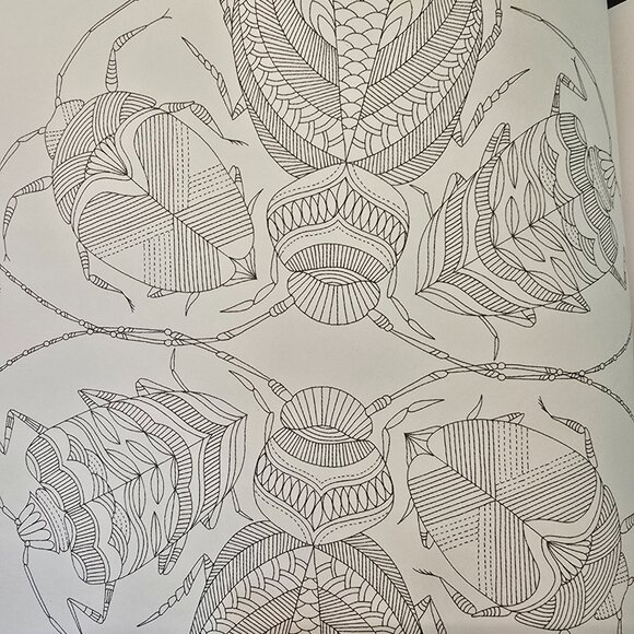 Animal Kingdom and Enchanted Forest Coloring Book (Set of 2) - Picture 4 of 14